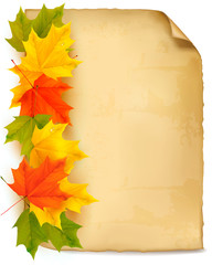 Fototapete - Autumn background with color leaves