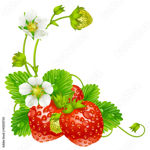 Naklejka - mata magnetyczna na lodówkę Vector strawberry frame isolated on background