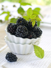 Wall Mural - blackberry