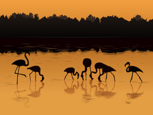 Vector Flamingos At Sunset In The River.