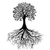 Fototapeta  - Tree with roots