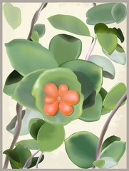 Wall Mural - Greeting card with a wild flower. Illustration curling a plant.