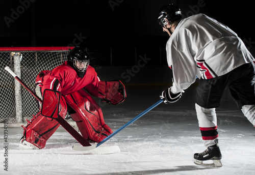 Foto-Stoff bedruckt - Ice hockey players (von Michael Pettigrew)