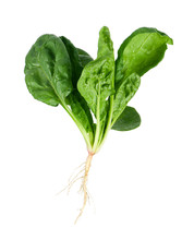 Spinach With Root