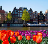 Fototapeta Tulipany - One of canals in Amsterdam