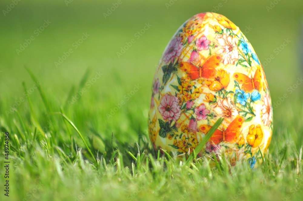 Jajko Wielkanocne - obrazy, fototapety, plakaty 