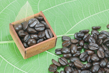 coffee beans on green color leaf background