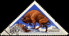 Postage Stamp USSR - CIRCA 1973