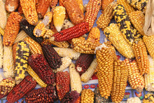 Varieties Of Corn At The Market