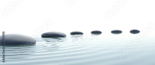 Zen path of stones in wides...