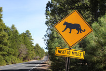 Puma Road Sign