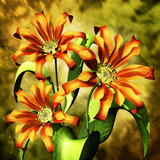 Fototapeta  - flowers