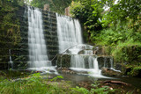 Fototapeta Kwiaty - Lumsdale waterfalls