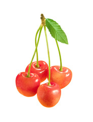 Wall Mural - cherries isolated on white background