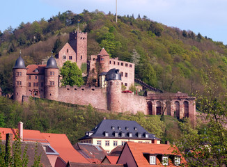 Wall Mural - Wertheimer Burg