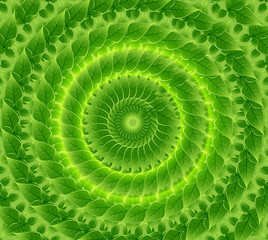 Wall Mural - abstract eco bright green lives circle vector