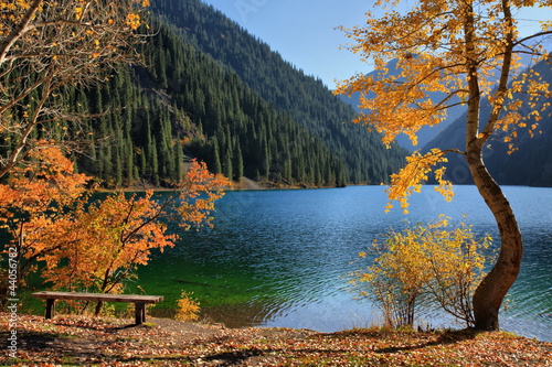 Naklejka na szafę Coast of the mountain lake