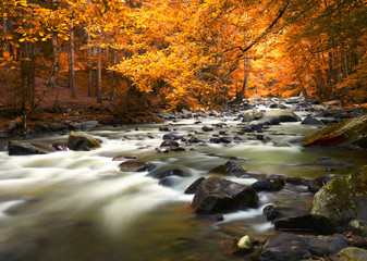 Autumn landscape with trees and river