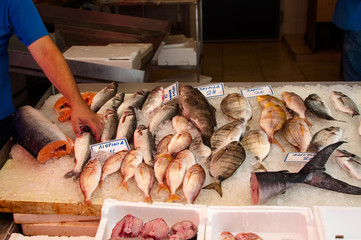 Fish Market