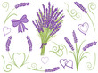 Illustration of lavender design elements