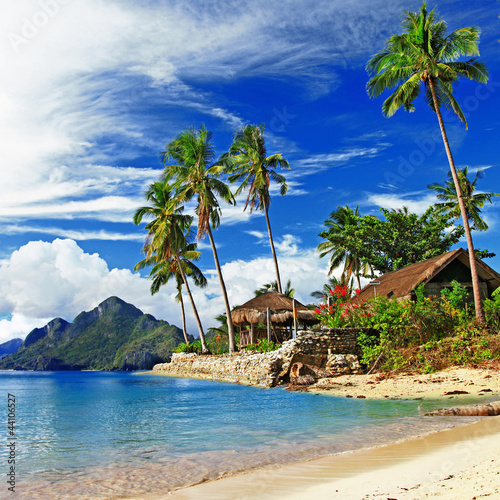 Plissee mit Motiv - tropical scenery (von Freesurf)