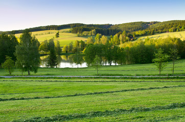 Canvas Print - Agricultural scenery with pond