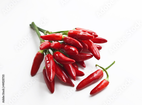 Fotografia  Peperoncino