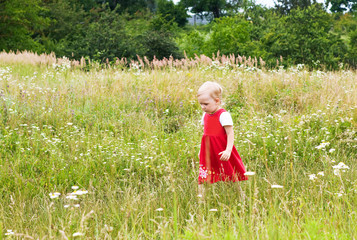 Wall Mural - Child in the meadow