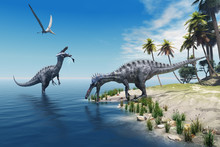 Suchomimus Dinosaurs