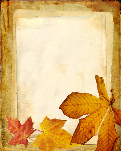 old album with dry autumn leaves