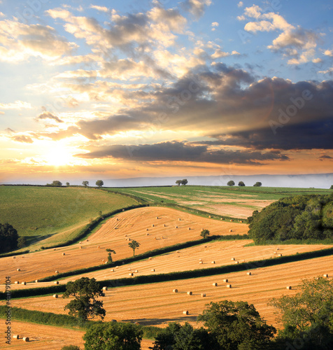 Naklejka na szafę Landscape with straw bales against sunset