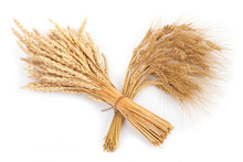 Sheaf Of Wheat And Rye