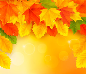 Aufkleber - Autumn background with leaves  Back to school  Vector