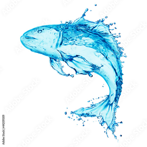 Naklejka - mata magnetyczna na lodówkę water fish splash isolated on white background