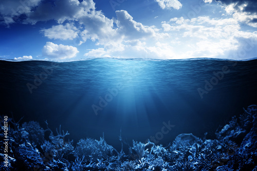 Cuadros en Lienzo Sky, waterline and underwater background
