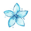 flower made of water splash