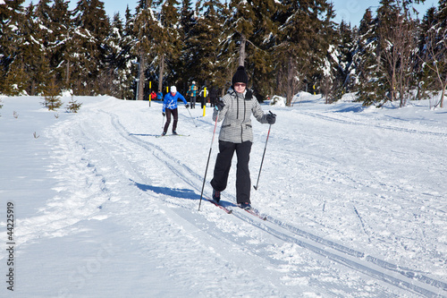 Dekoracja na wymiar  kobiety-w-narciarstwie-biegowym