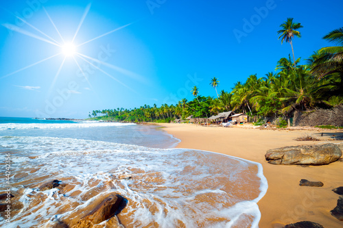 Naklejka na szybę Tropical beach