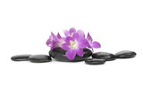 Fototapeta Storczyk - set of orchid with stones on the white background