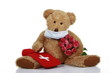 Teddybear with Roses