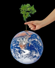 Wall Mural - Tree on Earth as a symbol of peace.Elements of this image furnis