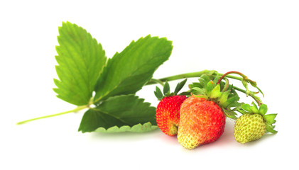 Wall Mural - Strawberry with leaves