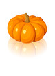 Orange pumpkin. Vector illustration.