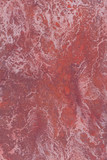 Fototapeta  - old red background