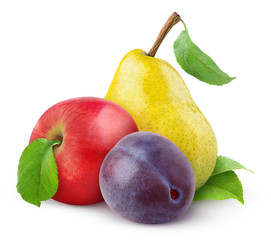 Leinwandbilder - Isolated fruits. Red apple, yellow pear and blue plum isolated on white background