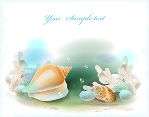 Wall Mural - background with seashells and corals