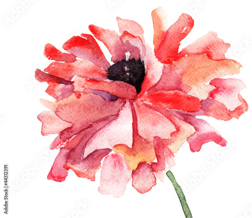 stylizowana-ilustracja-kwiat-maku