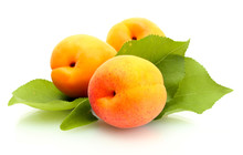 Ripe Sweet Apricots With Green Leaves Isolated On White