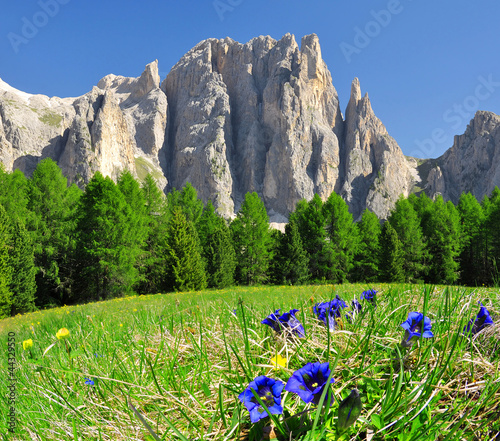 Платно  Dolomite peaks, Rosengarten,Val di Fassa, Italy Alps