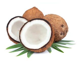 Sticker - Coconut with leaves